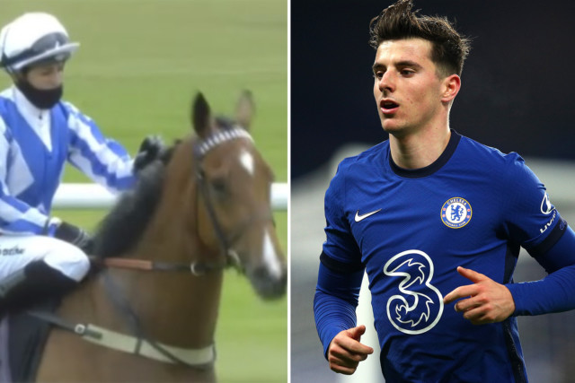 , Chelsea fans could get unexpected winner at Wolves – thanks to horse named after Blues and England star Mason Mount
