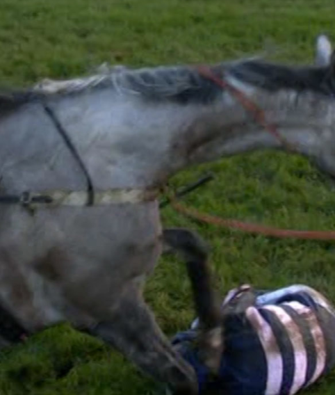, Brutal moment horse STAMPS on helpless jockey Joshua Moore after horror Ascot fall