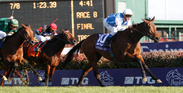, Goldikova dead at 16: All-time great racehorse and three-time Breeders Cup’ Mile winner passes away