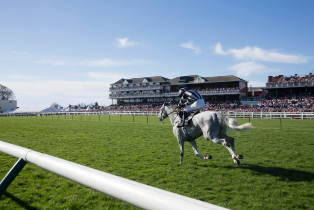 , Ayr racing ABANDONED just 25 minutes before first race due to frozen track as ITV racing meet is latest to be scratched