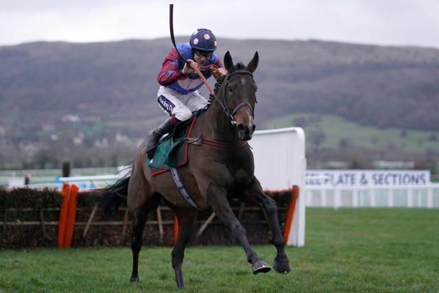 , Top stayer Paisley Park ‘in great order’ as he chases three straight wins in the Cleeve Hurdle at Cheltenham on Saturday