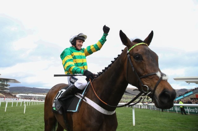 , Nicky Henderson hoping ‘tinkering’ sorts back injury for Champion Hurdle favourite Epatante ahead of Cheltenham Festival