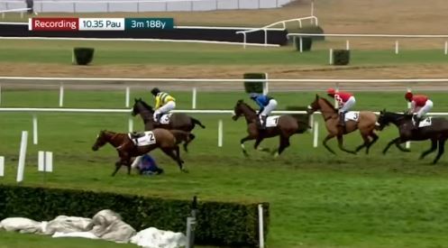 , Livid punters demand lifetime ban for jockey after watching mysterious mid-race fall from leading horse at Pau