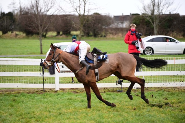, Watch jockey pull off ‘most incredible recovery ever’ after going totally airborne from horse in race at Naas