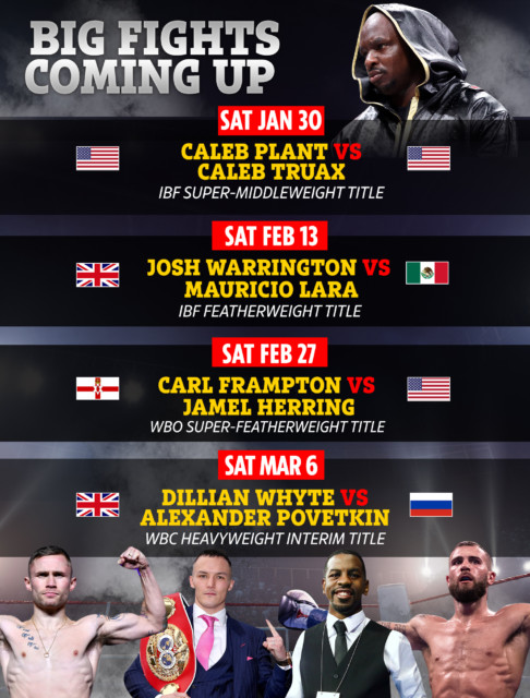 , Boxing schedule: Fight dates, results, undercards with Whyte vs Povetkin REMATCH, Warrington and Frampton fights to come