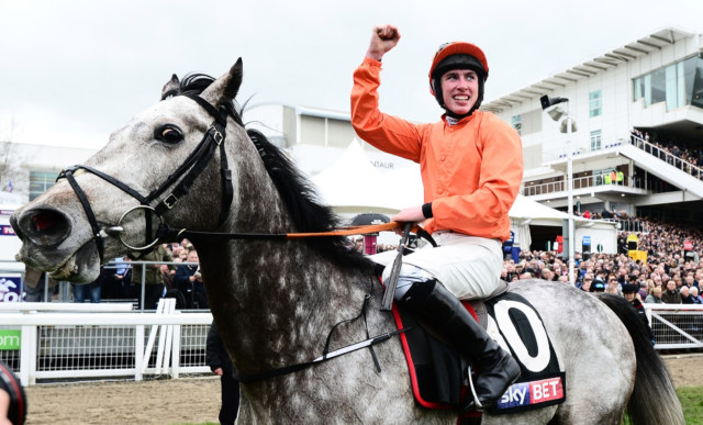 , Gordon Elliott confirms death of shock Festival winner Labaik part-owned by armed robber and involved in court dispute