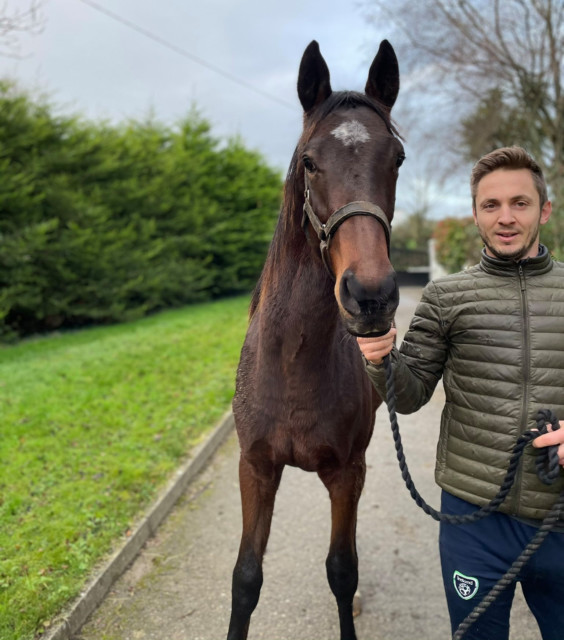 , Ex-Reading and Wolves ace Kevin Doyle eyeing Cheltenham glory as he runs family racehorse stable following retirement