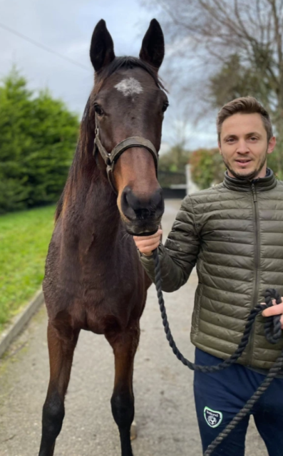 , Ex-Premier League ace Kevin Doyle spends double his old transfer fee on horse after buying another off Alan Shearer