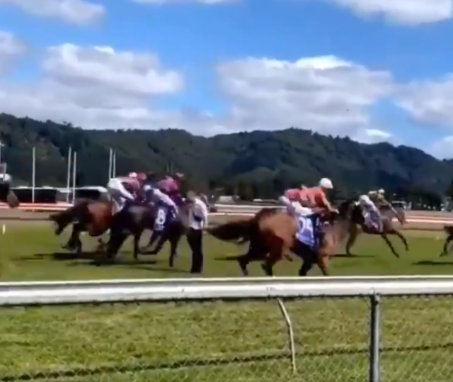 , Idiot racetrack invader charged with criminal nuisance after risking death by walking into middle of horse race