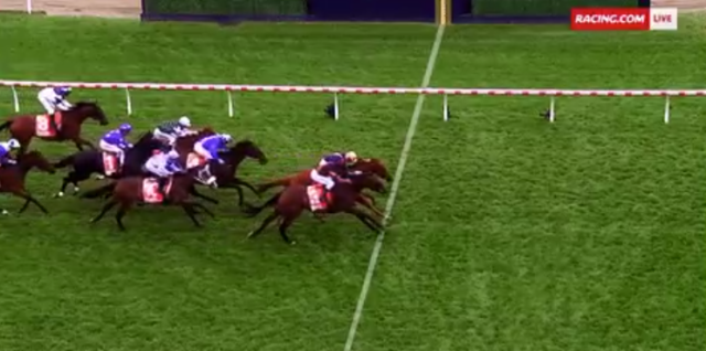 , Punter fury over controversial dead-heat photo finish as fans cry foul over mysterious ‘pure’ image