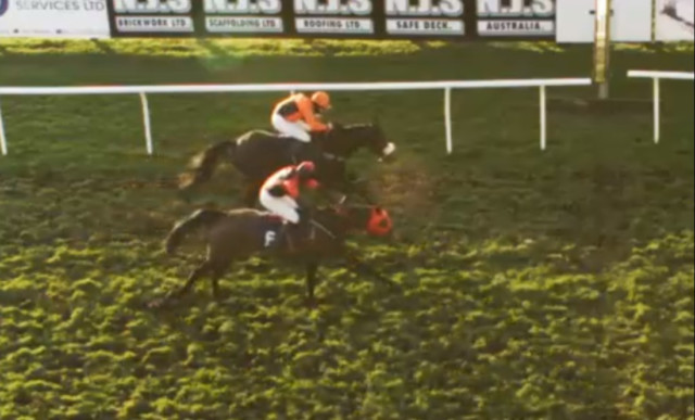 , Watch bonkers Fontwell finish where favourite falls when miles clear and 700-1 winner comes from absolutely nowhere