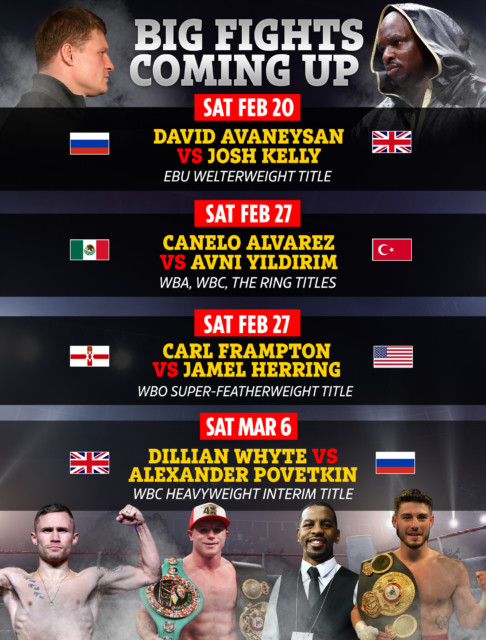 , Boxing schedule: Fight dates, results, undercards with Whyte vs Povetkin REMATCH, Canelo and Frampton fights to come