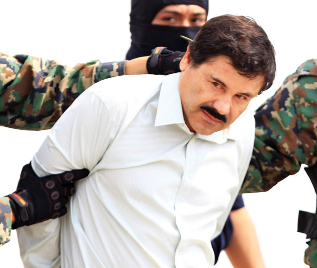 Drug baron Joaquin 'El Chapo' Guzman later became a friend of Alvarez's former flame del Castillo