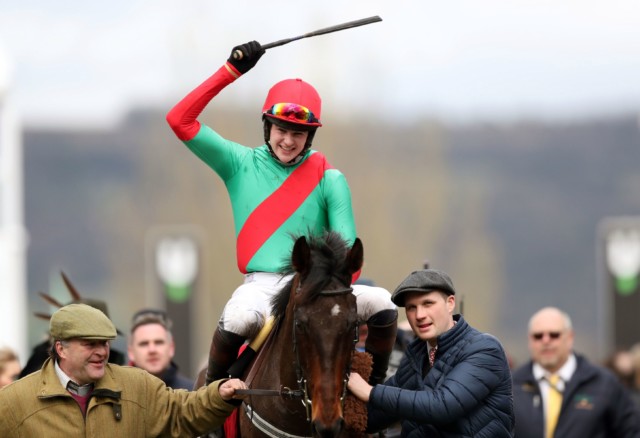 , Racing fans mourn death of The Conditional as Cheltenham Festival winner suffers fatal injury at Newbury