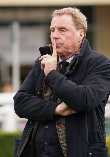 , Harry Redknapp ready to miss part of Soccer Saturday debut so he can watch his racehorse that he likens to Harry Kane