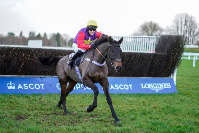 , Trainer Jeremy Scott weighing up weekend options for Dashel Drasher with Newbury a surprise target alongside Ascot
