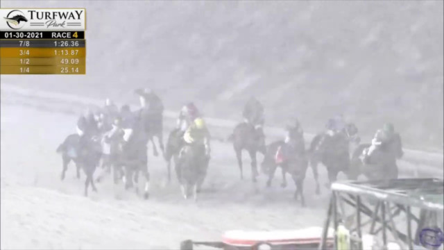 , Watch commentator’s hilarious commentary fail as he tries to call horse race in middle of a blizzard