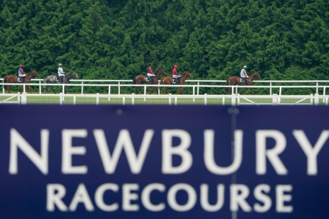 , Blockbuster Newbury Super Saturday card to be moved back a week if cancelled due to freezing temperatures