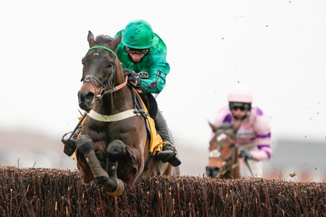 , Sceau Royal and Champ tee themselves up for Cheltenham Festival in Game Spirit as Soaring Glory shines in Betfair Hurdle