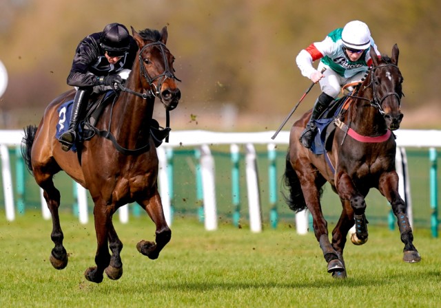 , Businessman who won £550,000 from Frankie Dettori’s Magnificent Seven sees his record-breaking horse lose to 8-1 shot