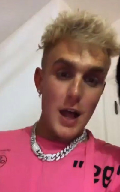 , Jake Paul tells all over infamous ‘Project X’ house party with Chris Brown and Noah Cyrus and boxing fight in garden