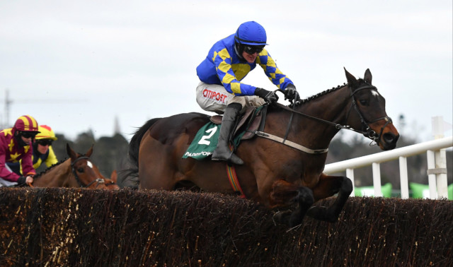 , Kemboy and Monkfish the stars of the show at Leopardstown as champion trainer Willie Mullins dominates