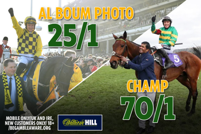 , Cheltenham Gold Cup betting: Get Champ to win at 70/1 or Al Boum Photo at 25/1 for top three finish