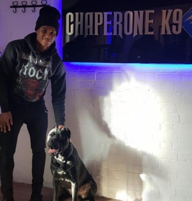 Chaperone K9 provide guard dogs to footballers, including Marcus Rashford