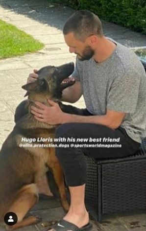 Hugo Lloris recently added a guard dog from Elite Protection to his family