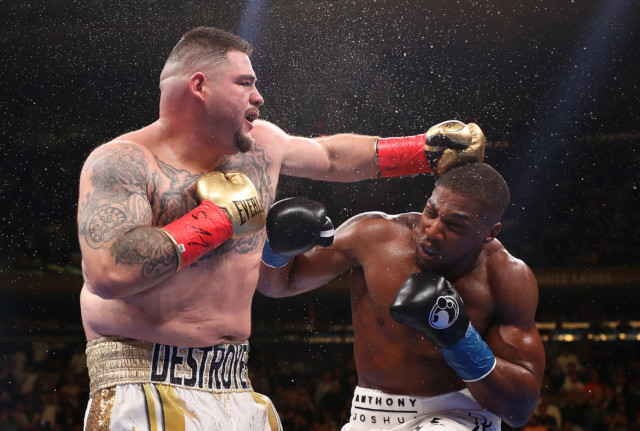 , Dillian Whyte will find out soon enough if brutal Alexander Povetkin KO has made him gun-shy