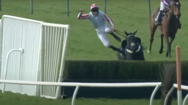 , Watch jockey get flung upside-down over hurdle in spectacular fall that shocks punters watching Southwell race