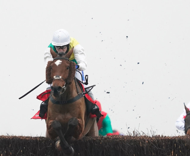 , Grand National favourite Cloth Cap could be shortest-priced winner in 100 years at just 7-2 – so is he worth backing?