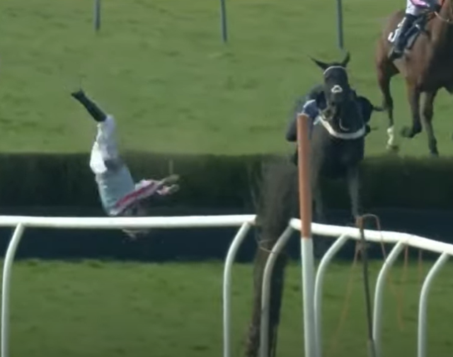 , Watch jockey get flung upside-down over hurdle in spectacular fall that shocks punters watching Southwell race