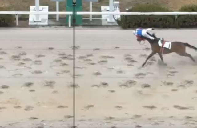 , Watch jockey, 62, literally fly over finish line after losing control of horse in jaw-dropping end to race