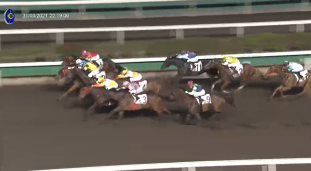 , Watch dramatic four-horse photo finish where huge 40-1 outsider dead-heats against strong 6-4 favourite in Sha Tin