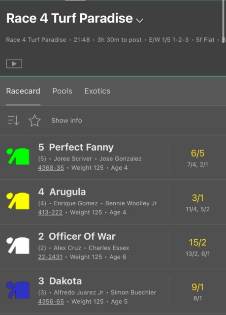 , Racing fans left in hysterics with VERY rude name of horse… but does it mean something innocent in the US?