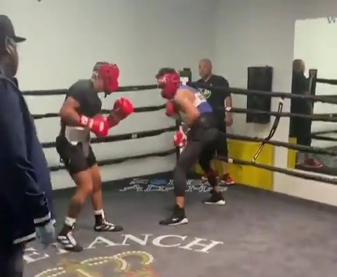 , Watch Devin Haney breaks sparring partners nose with brutal barrage as he prepares for Jorge Linares fight