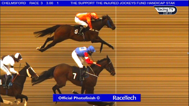, Punters left scratching heads after winner called on the narrowest of photo finishes at Chelmsford