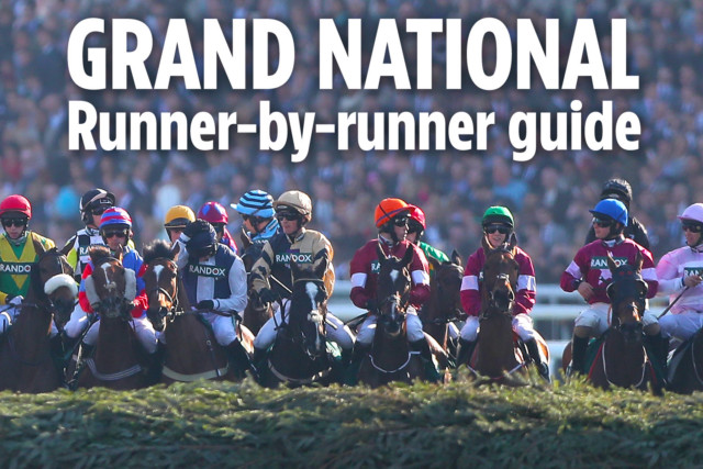 , Grand National 2021: Complete runner-by-runner guide for Aintree headliner brought to you by Templegate