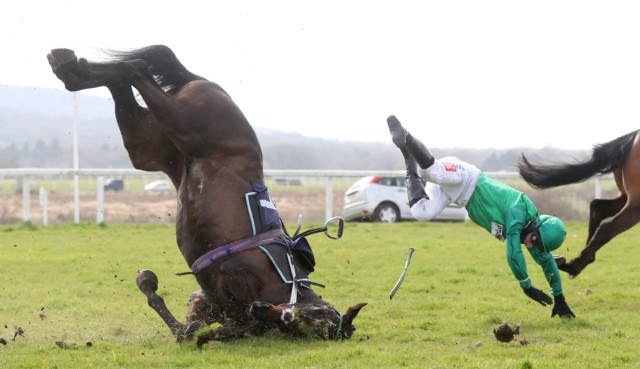 , Watch dramatic moment horse and jockey both crash through plastic wing next to jump at Uttoxeter