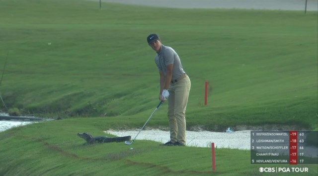 , Cameron Champ forced to take chip shot with ALLIGATOR just yards behind him leaving TV viewers fearing at TPC Louisiana