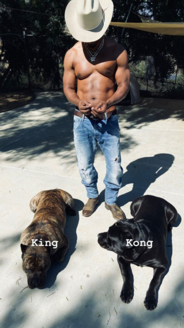 , Hollywood star Jamie Foxx reveals amazing body transformation as he prepares to play Mike Tyson in biopic of boxing icon