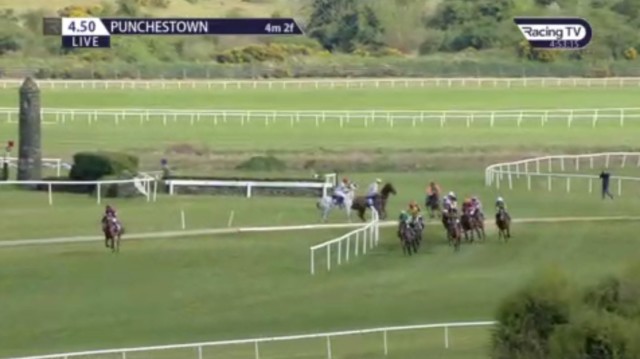 , Tragedy as fan favourite racehorse Some Neck dies following disastrous mid-race mix-up at Punchestown Festival