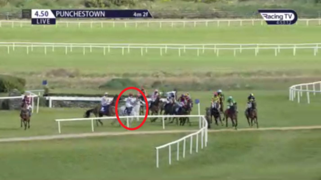 , Tragedy as fan favourite racehorse Some Neck dies following disastrous mid-race mix-up at Punchestown Festival