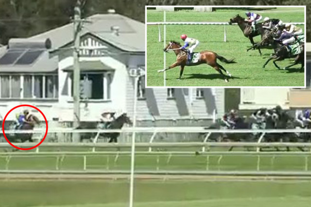 , Watch as horse flies from the clouds to amazing win in Australia and stuns punters