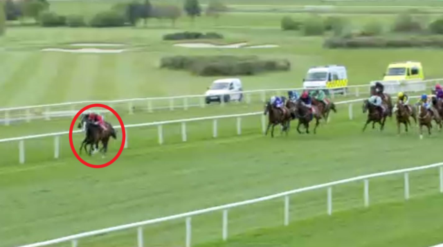 , Watch jockey fail to spot rival charging up the inside which leads to shock 28-1 winner in thrilling finish