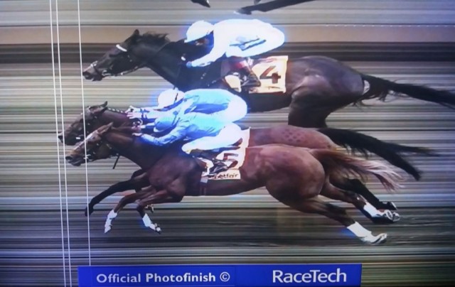 , Jockey Ben Curtis BANNED after winning thrilling photo finish aboard Zabeel Champion on 1000 Guineas Day at Newmarket