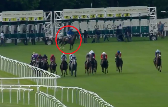 , Watch dramatic Royal Ascot stalls incident that sparks jockey and punter fury over controversial stewards’ decision