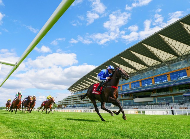 , Royal Ascot prize money: How much is Britain’s most valuable race meeting worth?