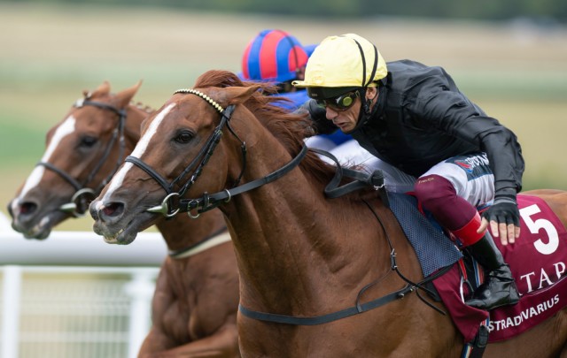 , John Gosden hoping top stayer Stradivarius can equal the great Yeats in the Gold Cup at Royal Ascot